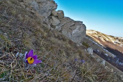 Прикрепленное изображение: DSC_0123_s.jpg